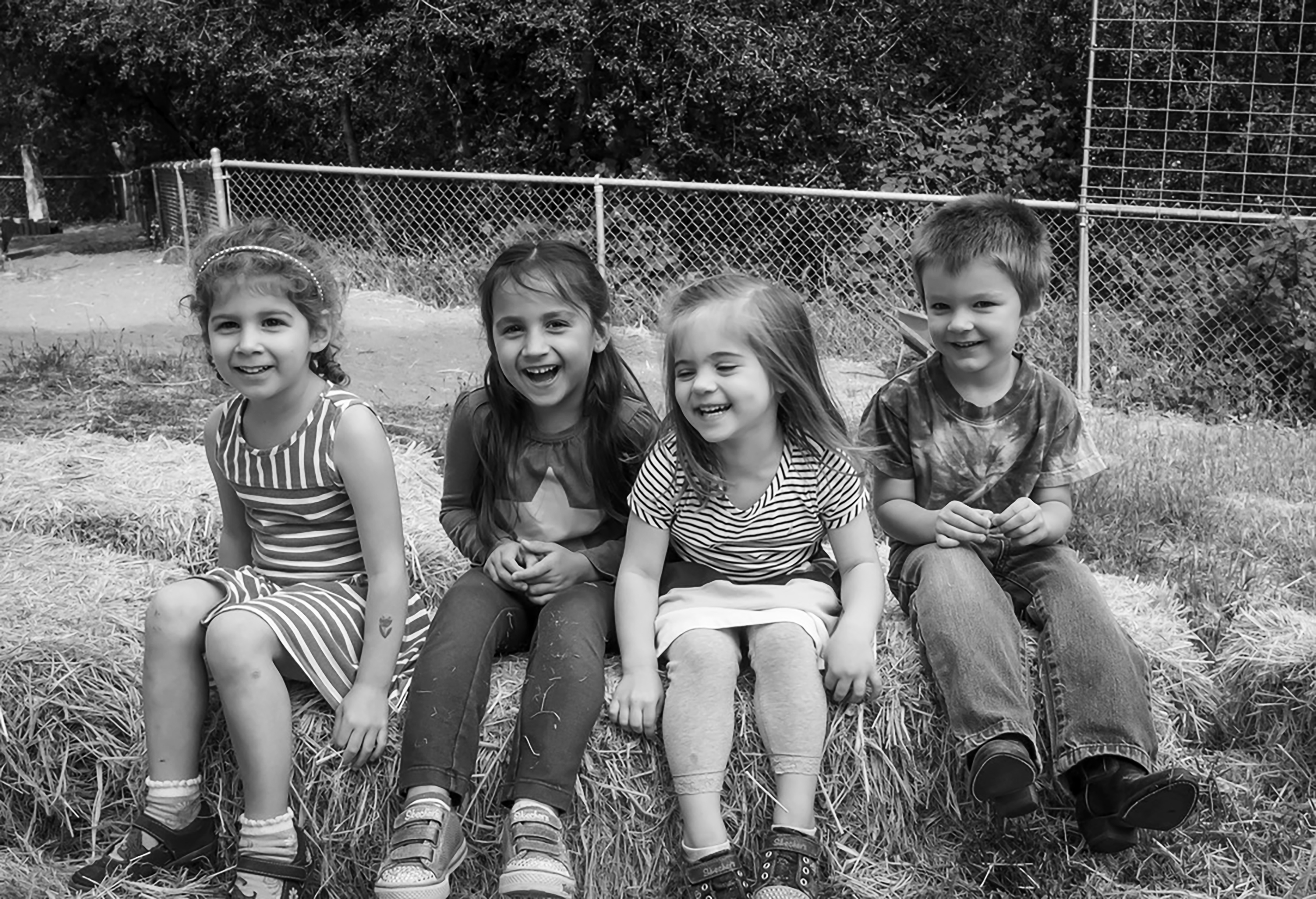 Children sitting on hay bales