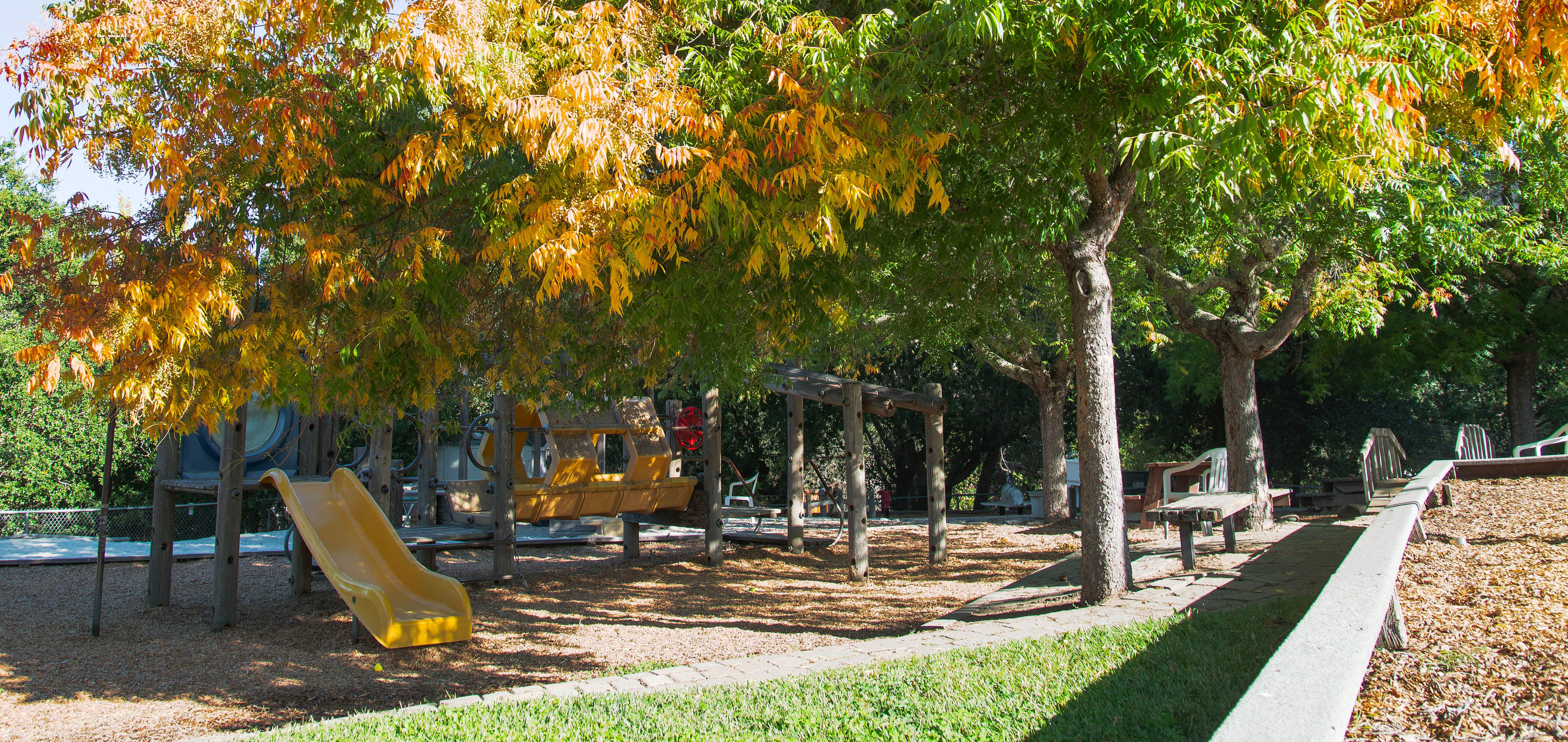 Outdoor play area and trees with fall colors on the leaves
